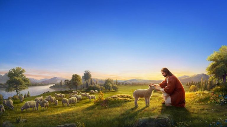 The Parable Of The Lost Sheep   Parable Of Lost Sheep 768x432 